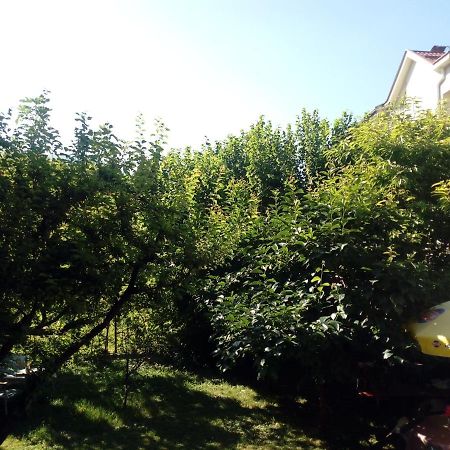 Vila Dudan Охрид Екстериор снимка