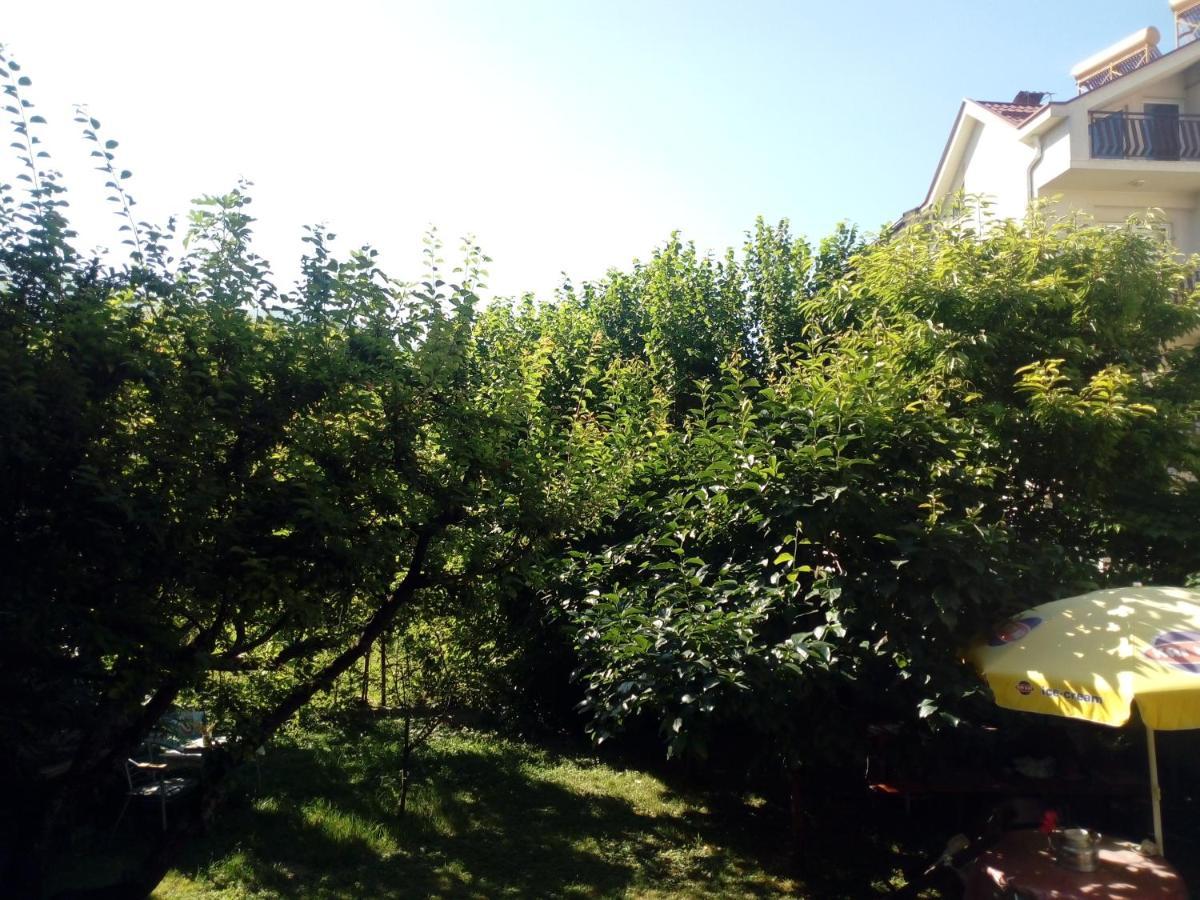 Vila Dudan Охрид Екстериор снимка